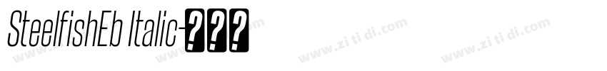 SteelfishEb Italic字体转换